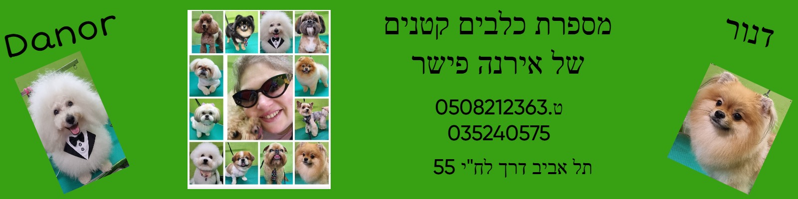 מספרת כלבים קטנים דנור של אירנה פישר